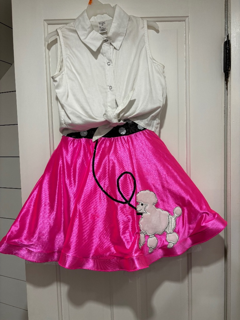 Poodle Skirt Dance Recital Dress